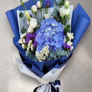 Hydrangea Macrophylla