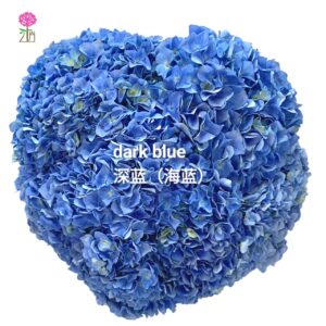 🌿 Hydrangea Collection