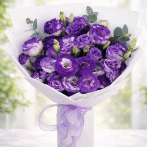 Purple Whisper preorder