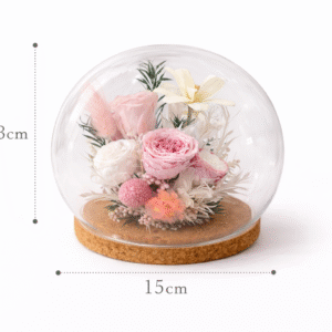 Timeless  Dome Pink